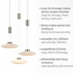 Luminaires Paul Neuhaus Suspension Paul Neuhaus LAUTADA LED Acier brossé, 3 lumières