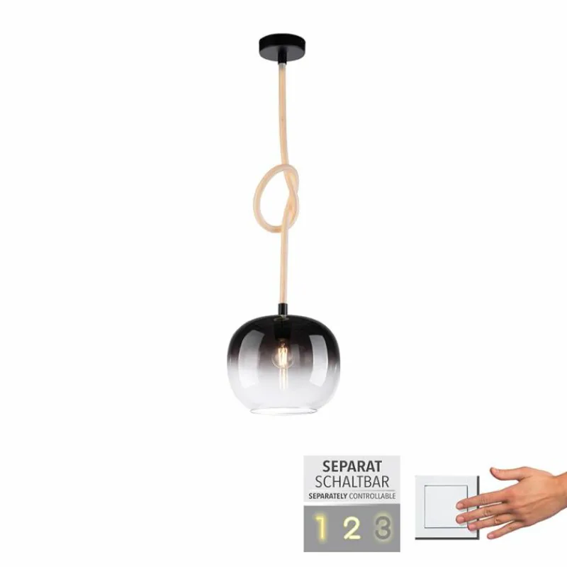 Suspension Verre Fumé-Luminaires Paul Neuhaus Suspension Paul Neuhaus LUMA Noir, 1 lumière