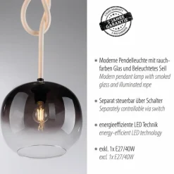 Suspension Verre Fumé-Luminaires Paul Neuhaus Suspension Paul Neuhaus LUMA Noir, 1 lumière