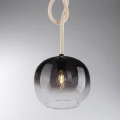 Suspension Verre Fumé-Luminaires Paul Neuhaus Suspension Paul Neuhaus LUMA Noir, 1 lumière