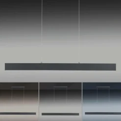 Luminaires Paul Neuhaus Suspension Paul Neuhaus NILA LED Anthracite, 2 lumières, Télécommandes