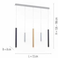 Luminaires Paul Neuhaus Suspension Paul Neuhaus PURE-GEMIN LED Aluminium, Laiton, Noir, 5 lumières* Éclairage Led