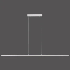 Luminaires Paul Neuhaus Suspension Paul Neuhaus PURE-LITE LED Acier inoxydable, 1 lumière* Éclairage Led