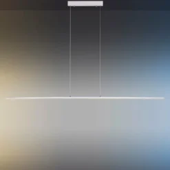 Luminaires Paul Neuhaus Suspension Paul Neuhaus PURE-LITE LED Acier inoxydable, 1 lumière* Éclairage Led