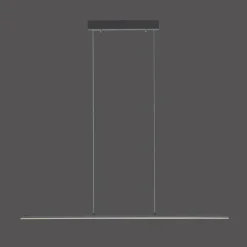 Luminaires Paul Neuhaus Suspension Paul Neuhaus PURE-LITE LED Anthracite, 1 lumière* Éclairage Led