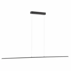 Luminaires Paul Neuhaus Suspension Paul Neuhaus PURE-LITE LED Anthracite, 1 lumière* Éclairage Led