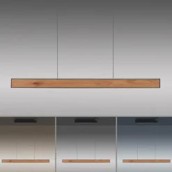 Lampes En Bois-Luminaires Paul Neuhaus Suspension Paul Neuhaus PURE E-MOTION LED Couleur bois, Noir, 1 lumière, Télécommandes