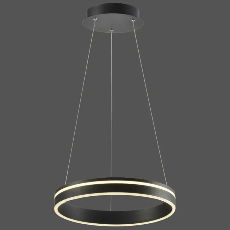 Paul Neuhaus Q-Serie Suspension Paul Neuhaus Q-VITO LED Anthracite, 1 lumière, Télécommandes