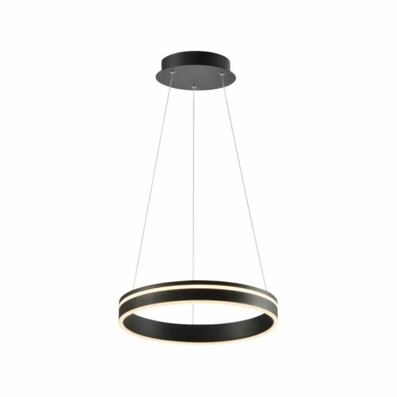 Paul Neuhaus Q-Serie Suspension Paul Neuhaus Q-VITO LED Anthracite, 1 lumière, Télécommandes