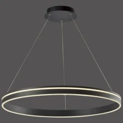 Paul Neuhaus Q-Serie Suspension Paul Neuhaus Q-VITO LED Anthracite, 1 lumière, Télécommandes