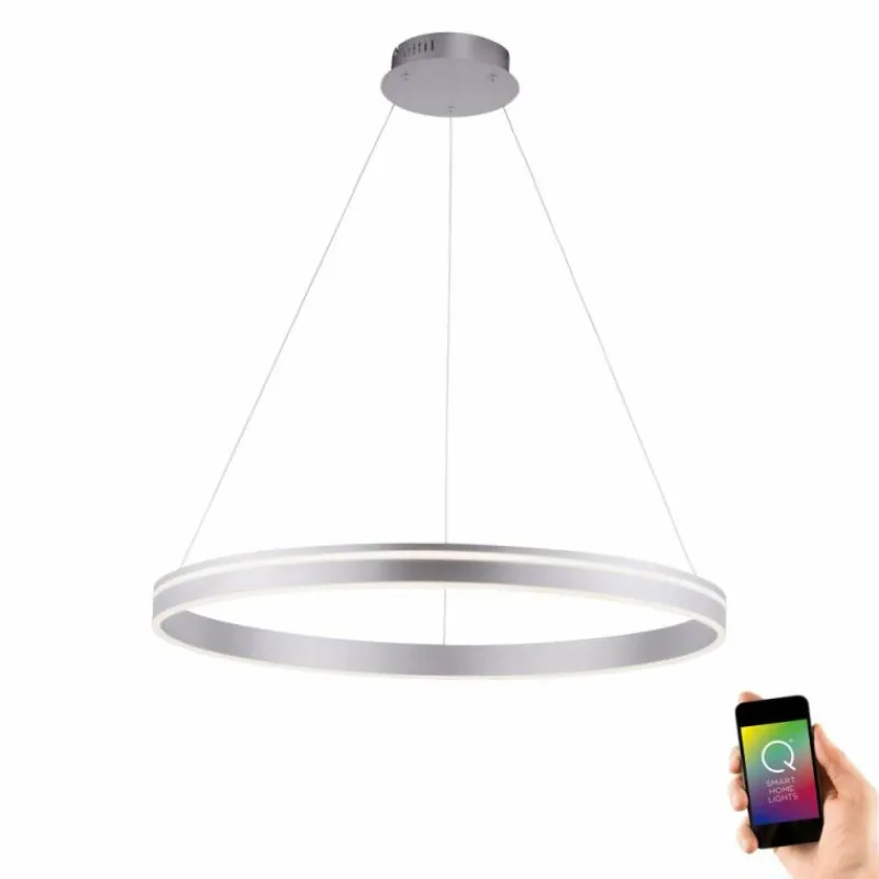 Paul Neuhaus Q-Serie Suspension Paul Neuhaus Q-VITO LED Acier inoxydable, 1 lumière, Télécommandes