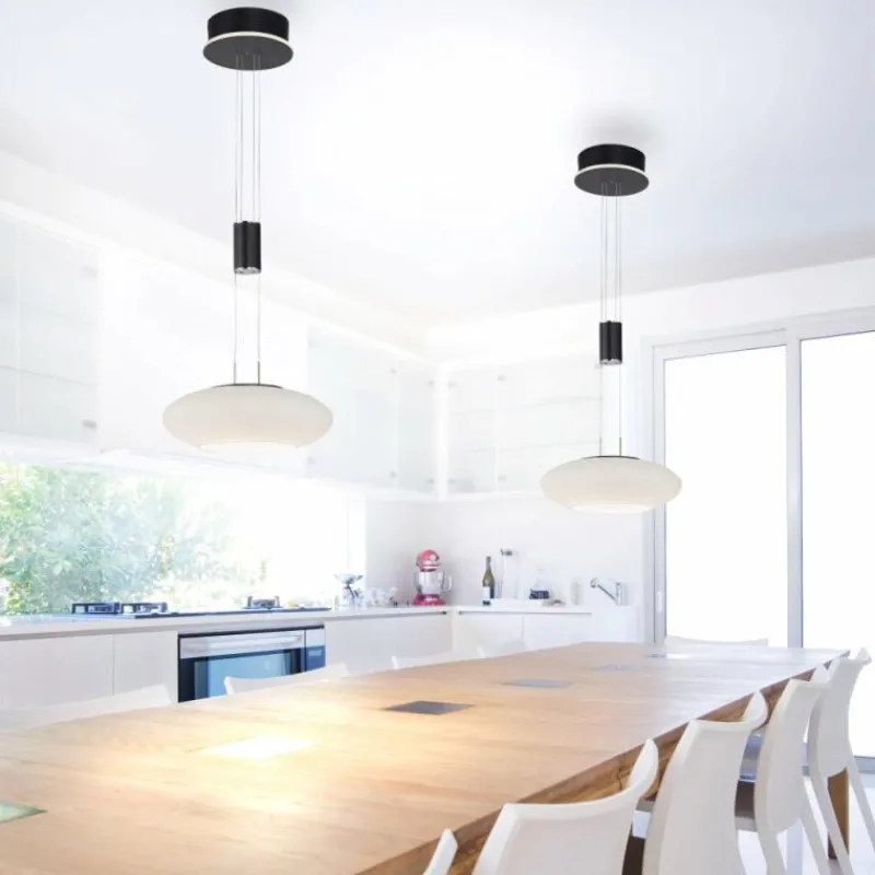 Paul Neuhaus Q-Serie Suspension Paul Neuhaus Q-ETIENNE LED Noir, 1 lumière, Télécommandes