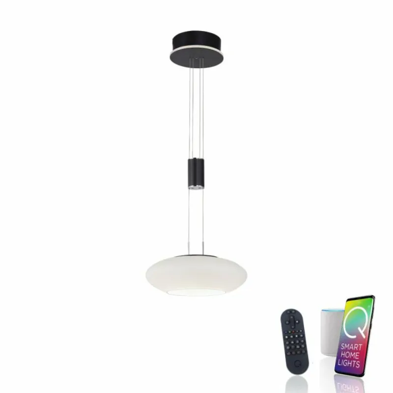 Paul Neuhaus Q-Serie Suspension Paul Neuhaus Q-ETIENNE LED Noir, 1 lumière, Télécommandes
