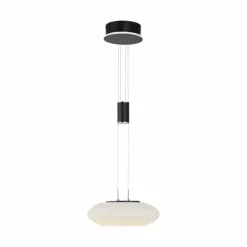 Paul Neuhaus Q-Serie Suspension Paul Neuhaus Q-ETIENNE LED Noir, 1 lumière, Télécommandes