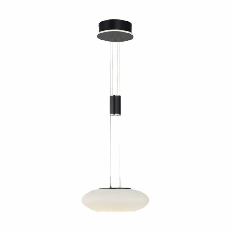 Paul Neuhaus Q-Serie Suspension Paul Neuhaus Q-ETIENNE LED Noir, 1 lumière, Télécommandes