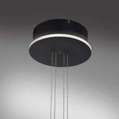 Paul Neuhaus Q-Serie Suspension Paul Neuhaus Q-ETIENNE LED Noir, 1 lumière, Télécommandes