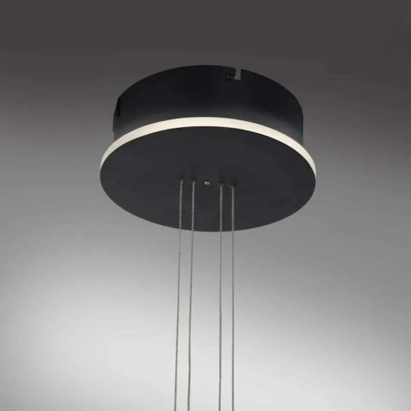 Paul Neuhaus Q-Serie Suspension Paul Neuhaus Q-ETIENNE LED Noir, 1 lumière, Télécommandes