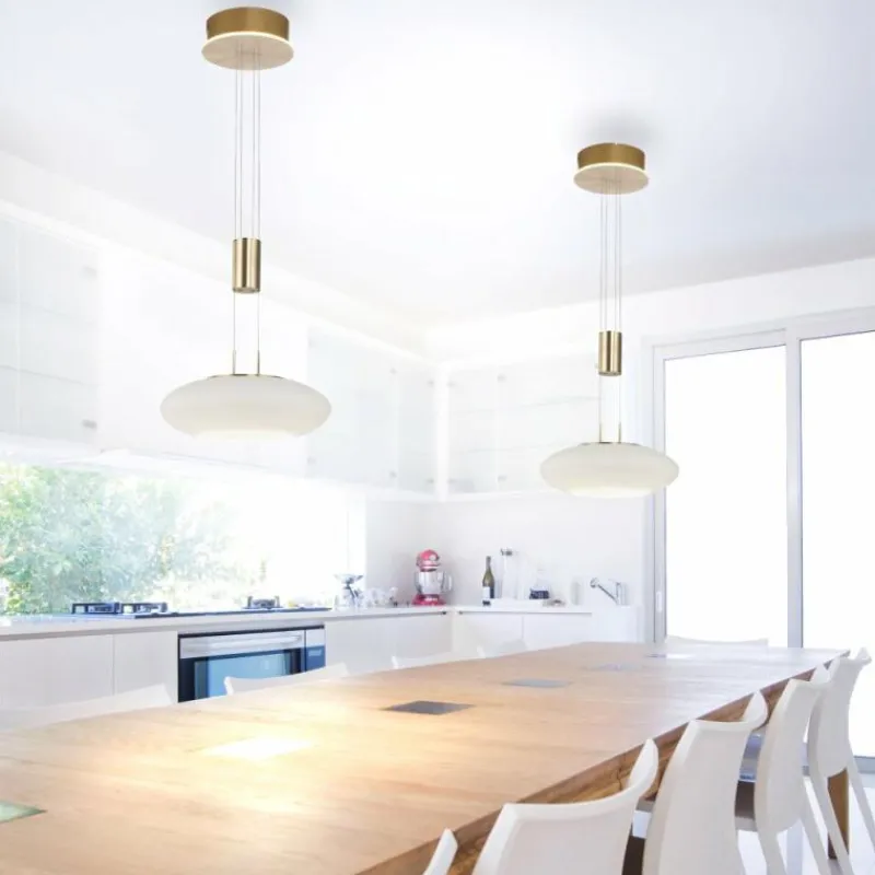 Paul Neuhaus Q-Serie Suspension Paul Neuhaus Q-ETIENNE LED Laiton, 1 lumière, Télécommandes