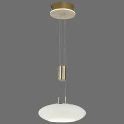 Paul Neuhaus Q-Serie Suspension Paul Neuhaus Q-ETIENNE LED Laiton, 1 lumière, Télécommandes