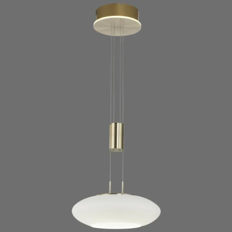 Paul Neuhaus Q-Serie Suspension Paul Neuhaus Q-ETIENNE LED Laiton, 1 lumière, Télécommandes