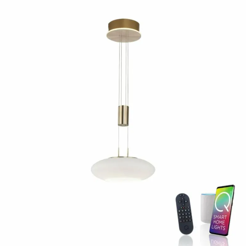 Paul Neuhaus Q-Serie Suspension Paul Neuhaus Q-ETIENNE LED Laiton, 1 lumière, Télécommandes
