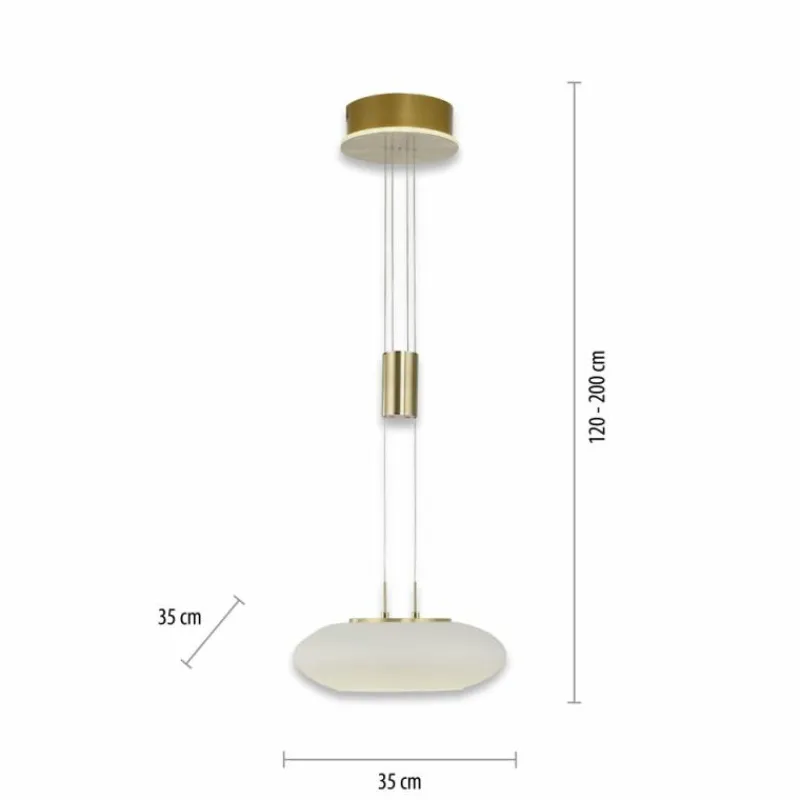 Paul Neuhaus Q-Serie Suspension Paul Neuhaus Q-ETIENNE LED Laiton, 1 lumière, Télécommandes