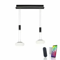 Paul Neuhaus Q-Serie Suspension Paul Neuhaus Q-ETIENNE LED Noir, 2 lumières, Télécommandes