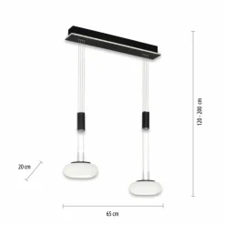 Paul Neuhaus Q-Serie Suspension Paul Neuhaus Q-ETIENNE LED Noir, 2 lumières, Télécommandes