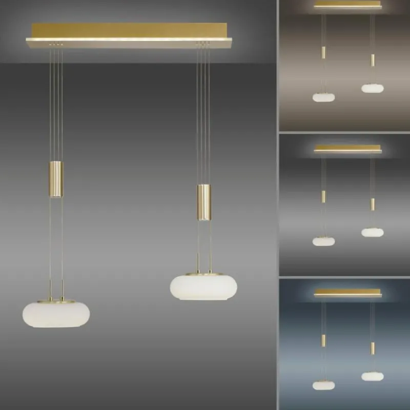 Paul Neuhaus Q-Serie Suspension Paul Neuhaus Q-ETIENNE LED Laiton, 2 lumières, Télécommandes