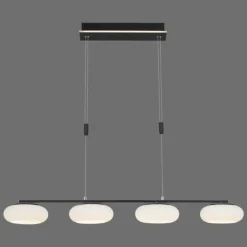 Paul Neuhaus Q-Serie Suspension Paul Neuhaus Q-ETIENNE LED Noir, 4 lumières, Télécommandes