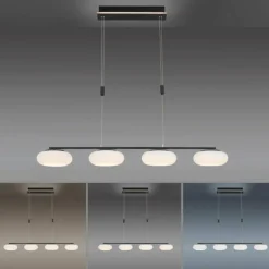 Paul Neuhaus Q-Serie Suspension Paul Neuhaus Q-ETIENNE LED Noir, 4 lumières, Télécommandes