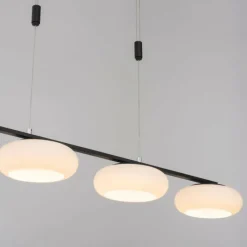 Paul Neuhaus Q-Serie Suspension Paul Neuhaus Q-ETIENNE LED Noir, 4 lumières, Télécommandes