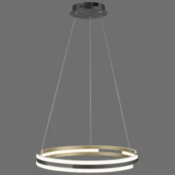 Paul Neuhaus Q-Serie Suspension Paul Neuhaus Q-BELUGA LED Or, 1 lumière, Télécommandes