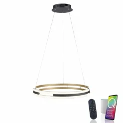 Paul Neuhaus Q-Serie Suspension Paul Neuhaus Q-BELUGA LED Or, 1 lumière, Télécommandes