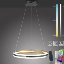 Paul Neuhaus Q-Serie Suspension Paul Neuhaus Q-BELUGA LED Or, 1 lumière, Télécommandes