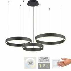 Luminaires Paul Neuhaus Suspension Paul Neuhaus SCULLI LED Noir, 2 lumières* Suspensions