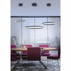 Luminaires Paul Neuhaus Suspension Paul Neuhaus TITUS LED Anthracite, 1 lumière* Suspensions