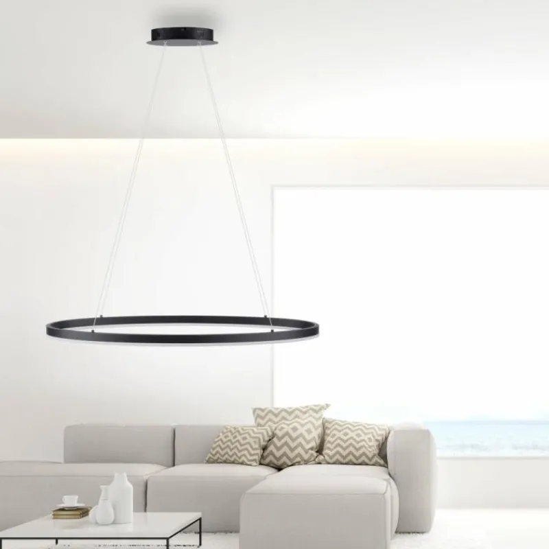 Luminaires Paul Neuhaus Suspension Paul Neuhaus TITUS LED Anthracite, 1 lumière* Éclairage Led
