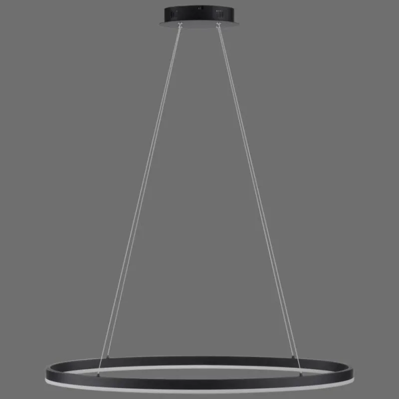 Luminaires Paul Neuhaus Suspension Paul Neuhaus TITUS LED Anthracite, 1 lumière* Éclairage Led