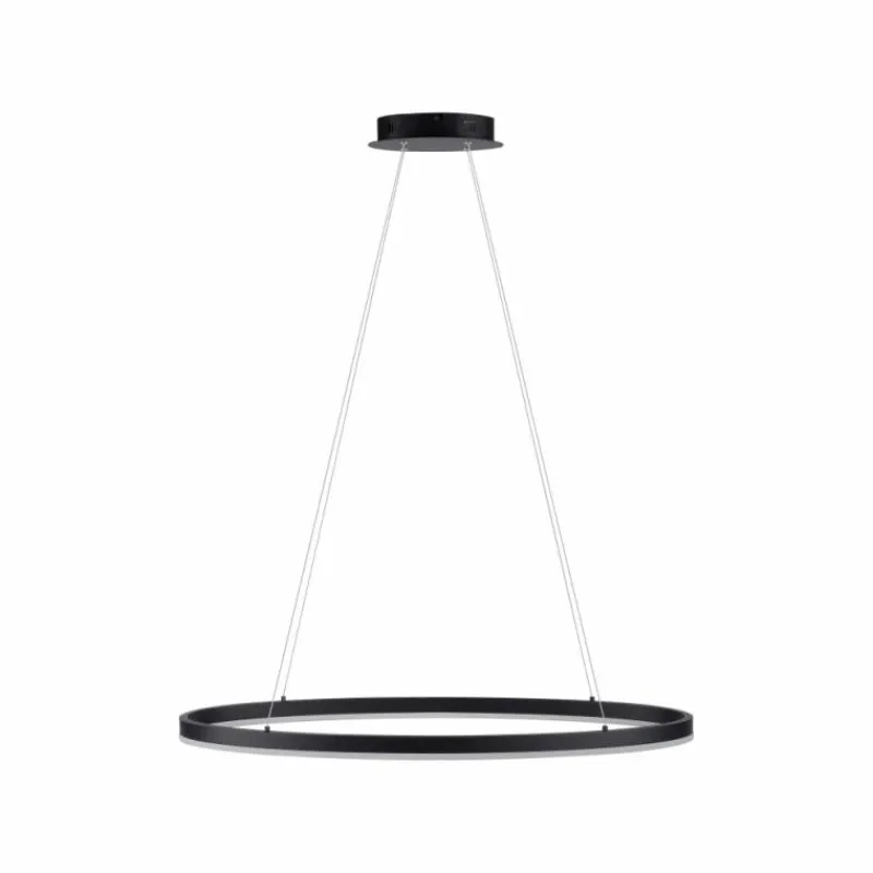 Luminaires Paul Neuhaus Suspension Paul Neuhaus TITUS LED Anthracite, 1 lumière* Éclairage Led