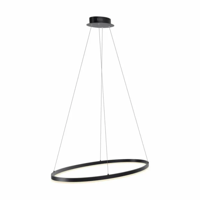 Luminaires Paul Neuhaus Suspension Paul Neuhaus TITUS LED Anthracite, 1 lumière* Éclairage Led