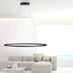Luminaires Paul Neuhaus Suspension Paul Neuhaus TITUS LED Anthracite, 1 lumière* Éclairage Led
