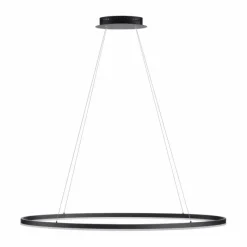 Luminaires Paul Neuhaus Suspension Paul Neuhaus TITUS LED Anthracite, 1 lumière* Éclairage Led