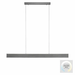 Luminaires Paul Neuhaus Suspension Paul-Neuhaus NANIA LED Gris, 1 lumière* Suspensions