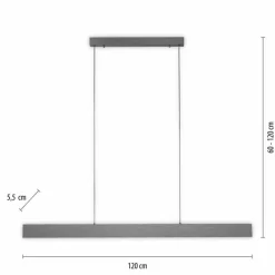 Luminaires Paul Neuhaus Suspension Paul-Neuhaus NANIA LED Gris, 1 lumière* Suspensions