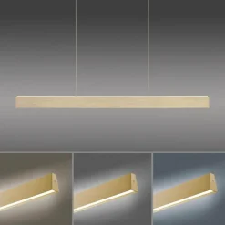 Lampes Dorées-Luminaires Paul Neuhaus Suspension Paul-Neuhaus NANIA LED Or, 1 lumière