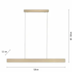Lampes Dorées-Luminaires Paul Neuhaus Suspension Paul-Neuhaus NANIA LED Or, 1 lumière