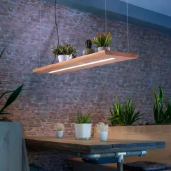 Lampes En Bois-Luminaires Paul Neuhaus Suspension Paul-Neuhaus PALMA LED Écru, Noir, 1 lumière, Télécommandes