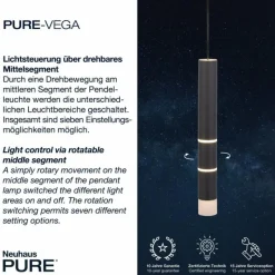 Luminaires Paul Neuhaus Suspension Paul-Neuhaus PURE-VEGA LED Noir, 3 lumières* Suspensions