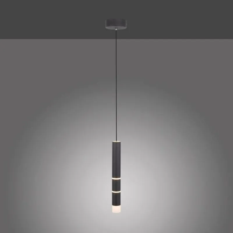 Luminaires Paul Neuhaus Suspension Paul-Neuhaus PURE-VEGA LED Noir, 3 lumières* Suspensions